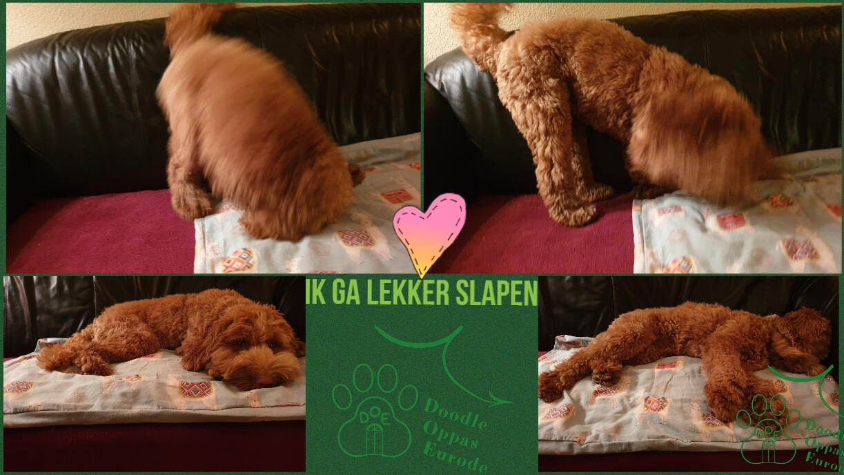 Elsa prepares her place on the couch for the night