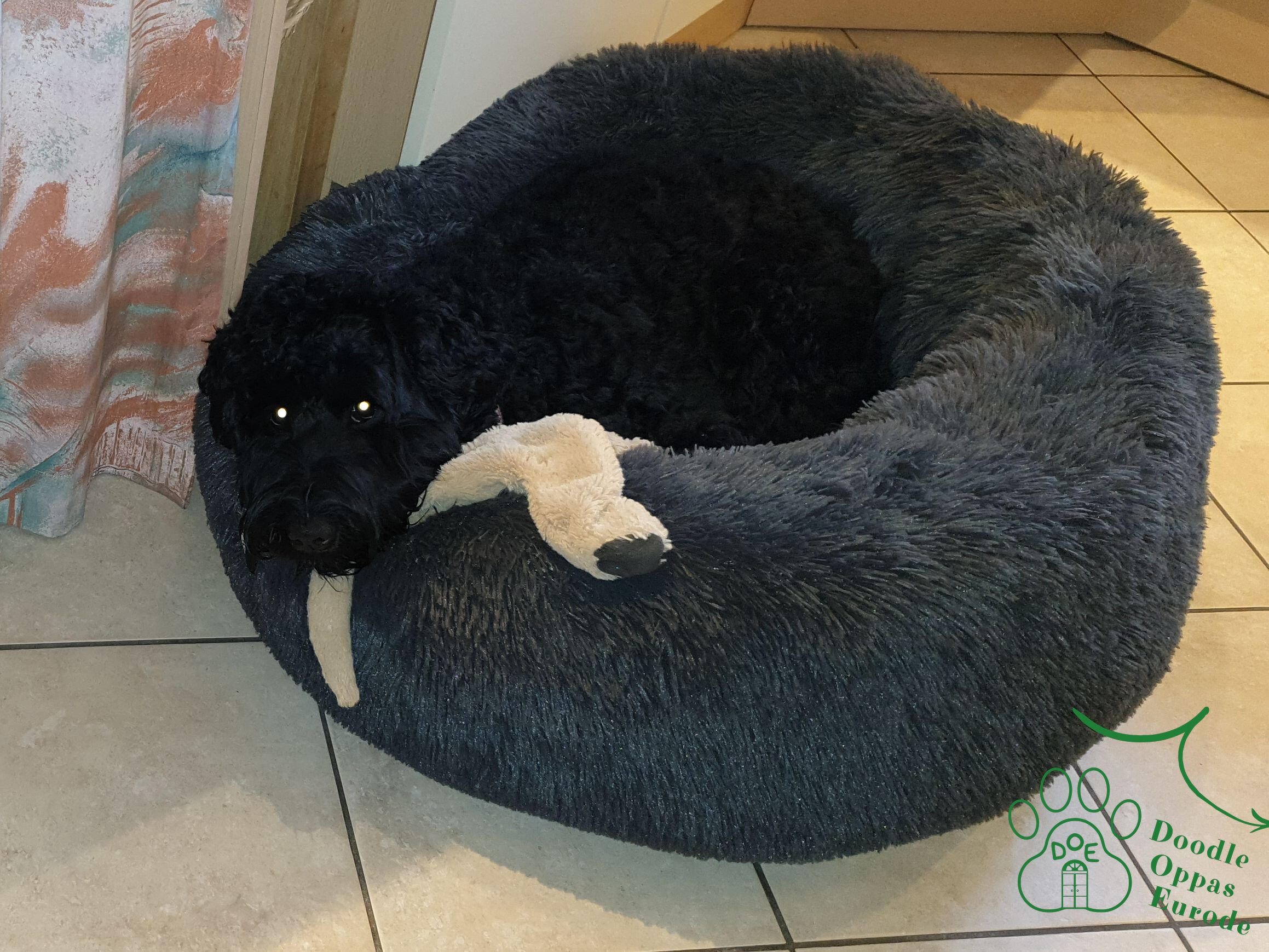 Hippie camouflaged ;-)