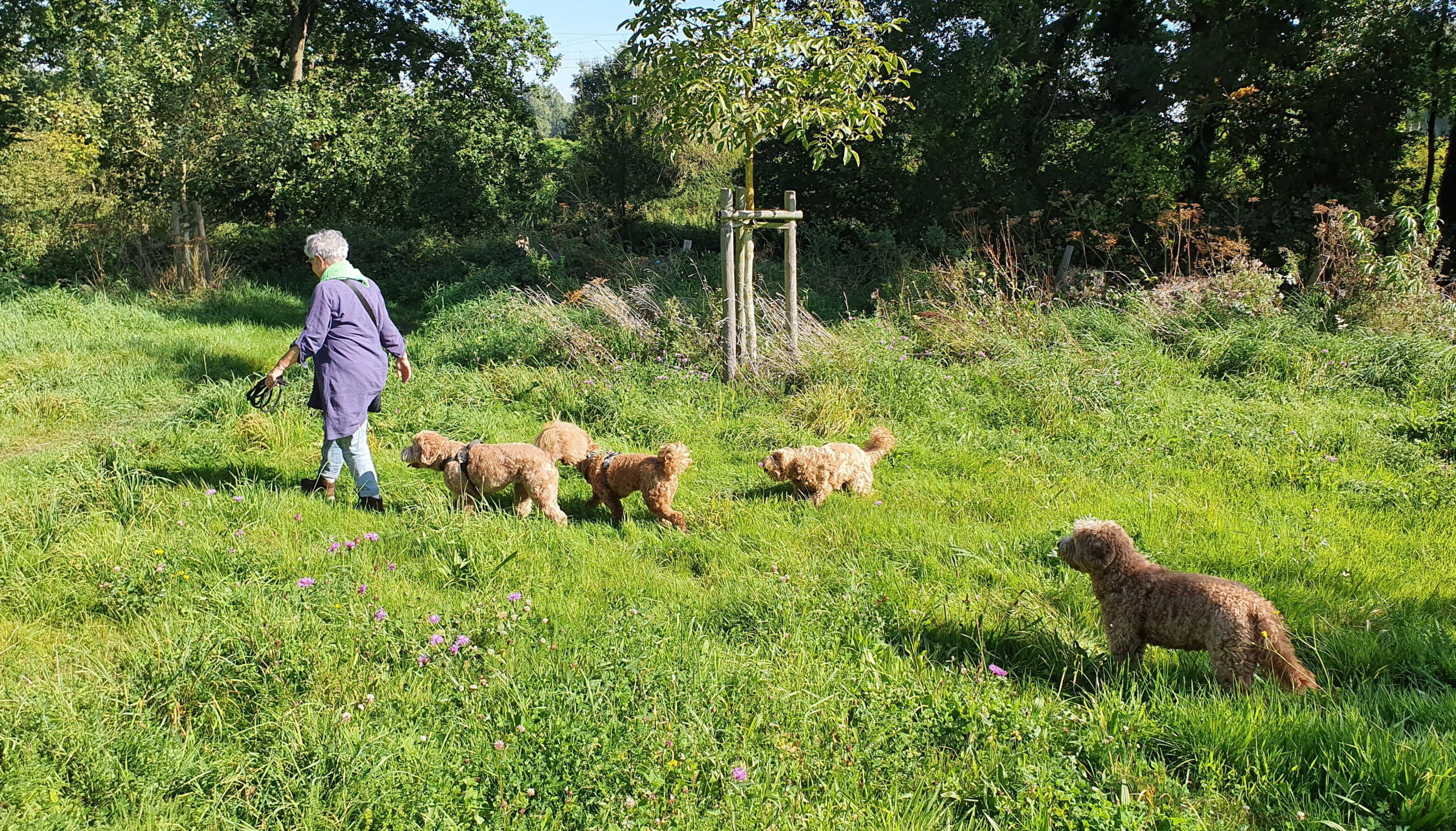 wandelingetje door het Wurmtal in de avondzon