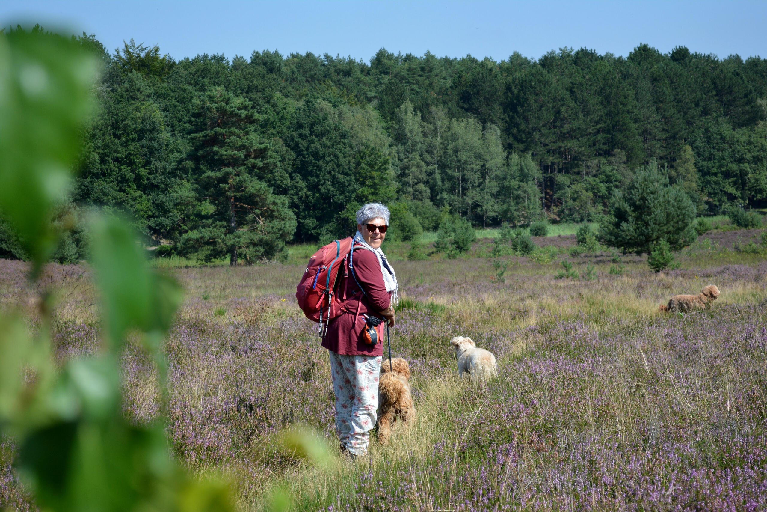 Brunssummerheide we love you