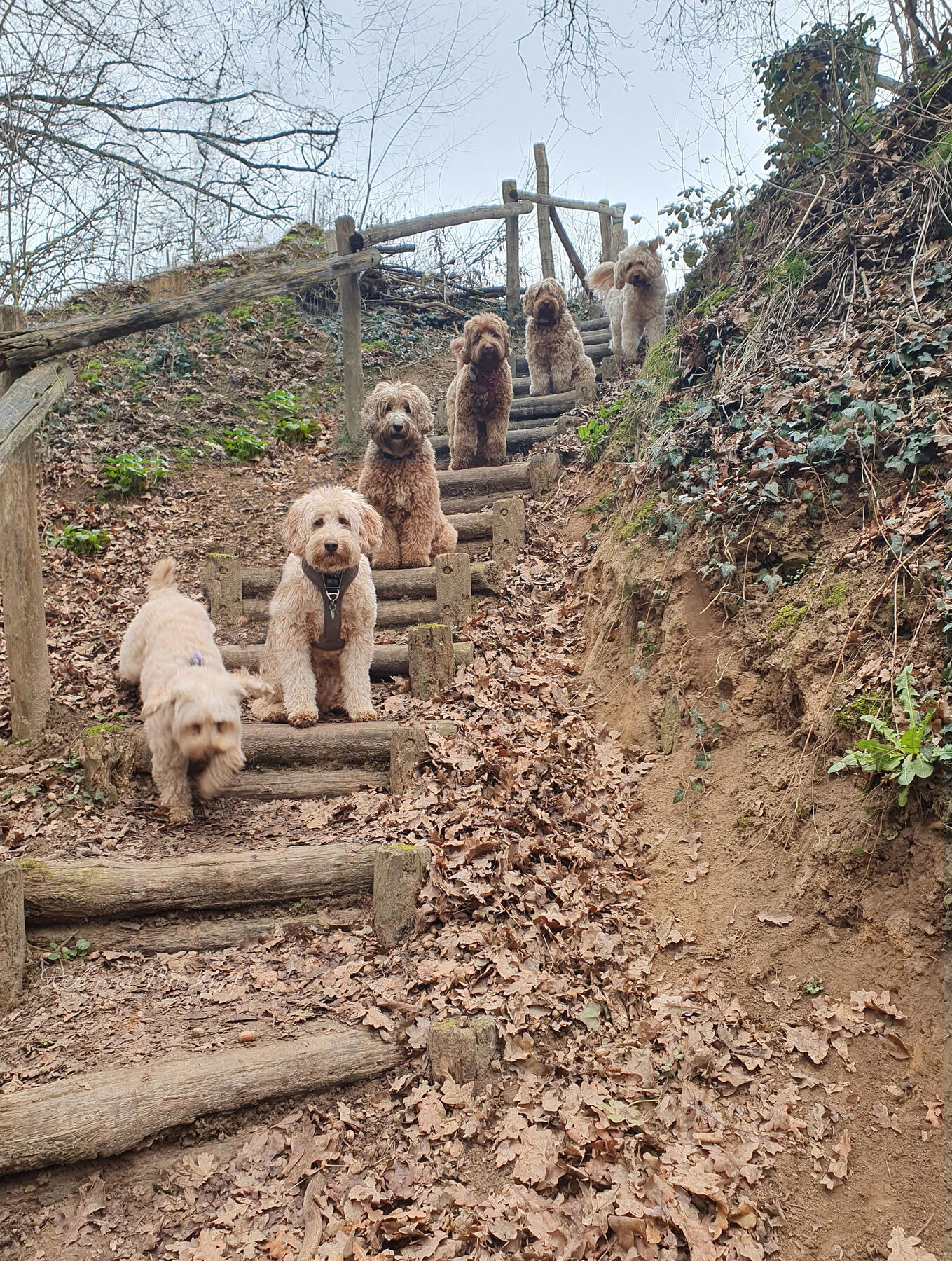 Stairway DOEdelsitdown