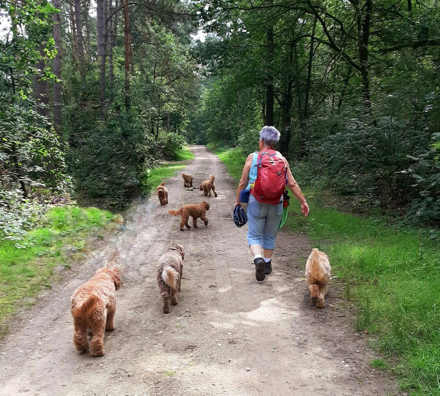 DOE sets out on a challenging hike in the De Meinweg nationaal park (official unleashed area)