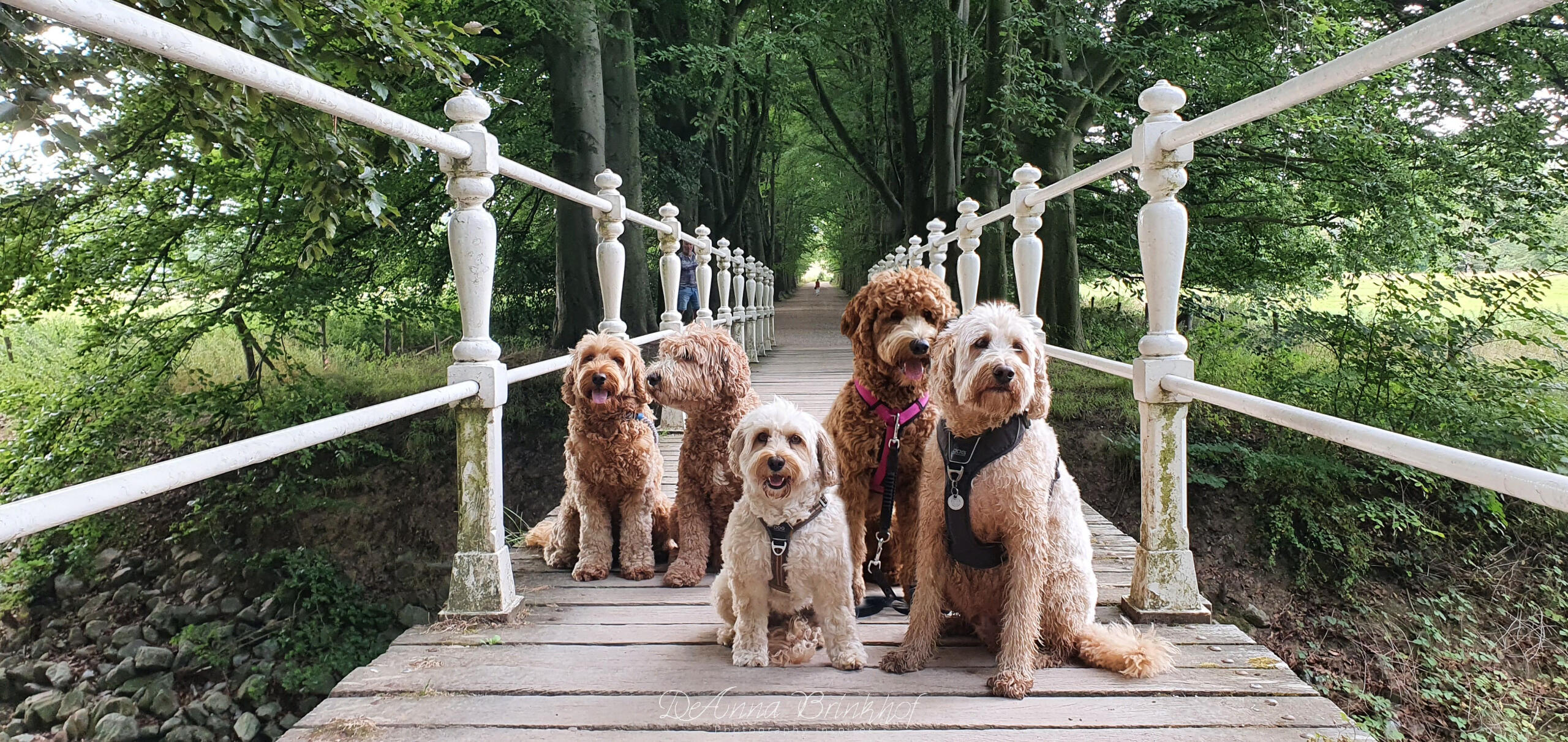 sur le pont .... d&#39;Oud-Valkenburg