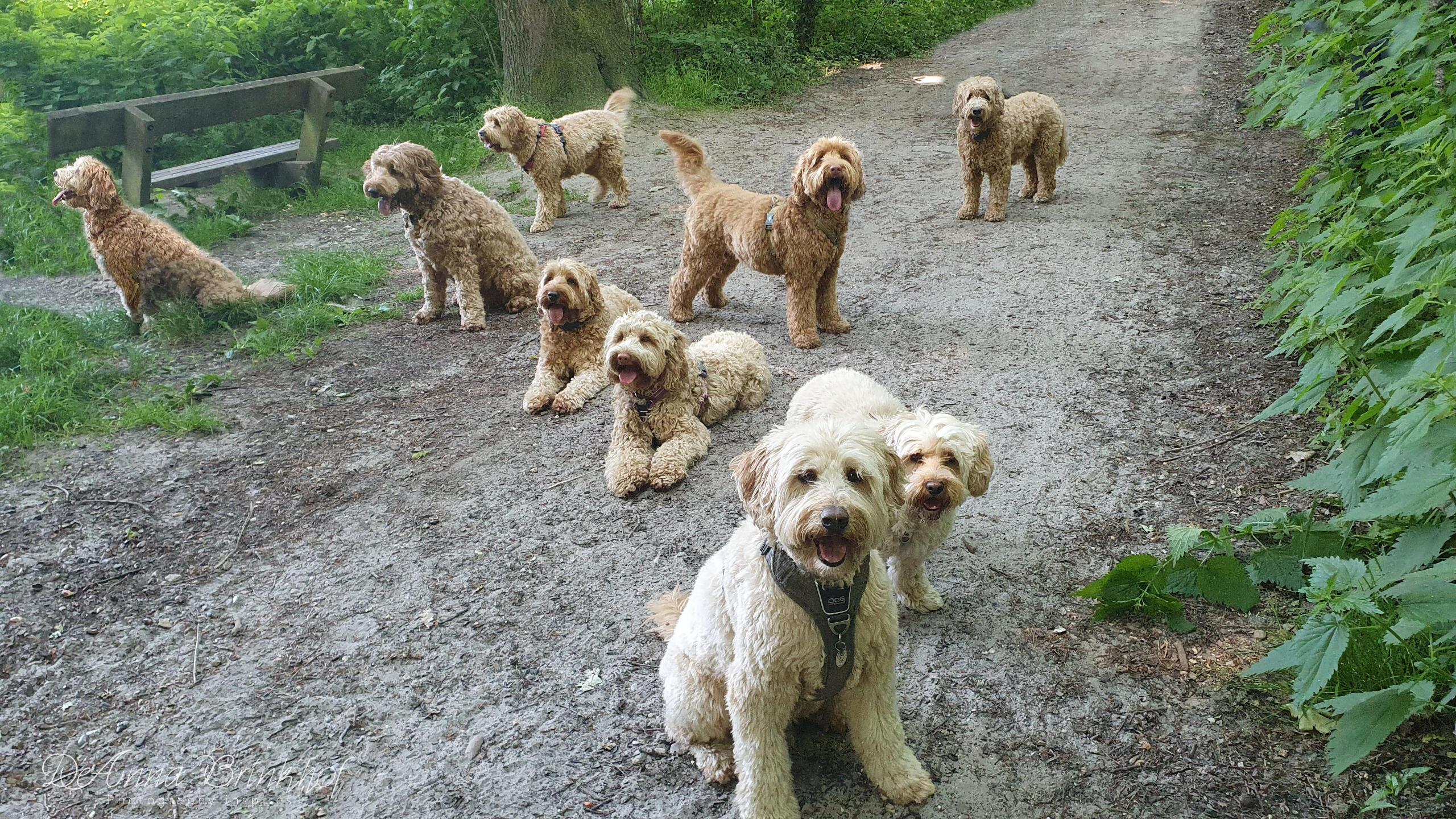 always fun with the DOEdel-gang