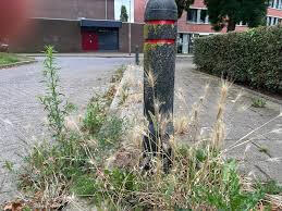 op de stoep