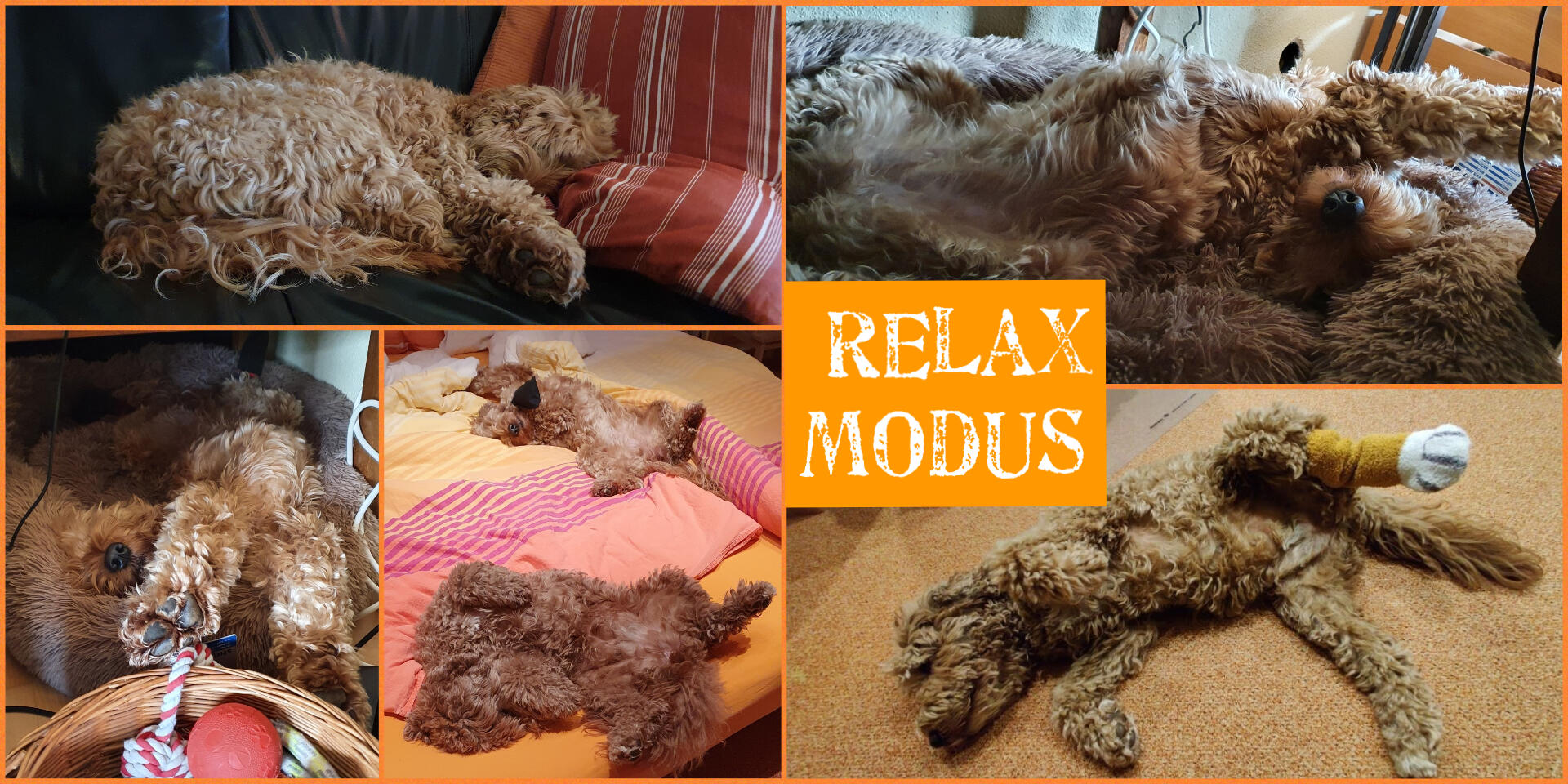 relax modus at Doodle Oppas Eurode