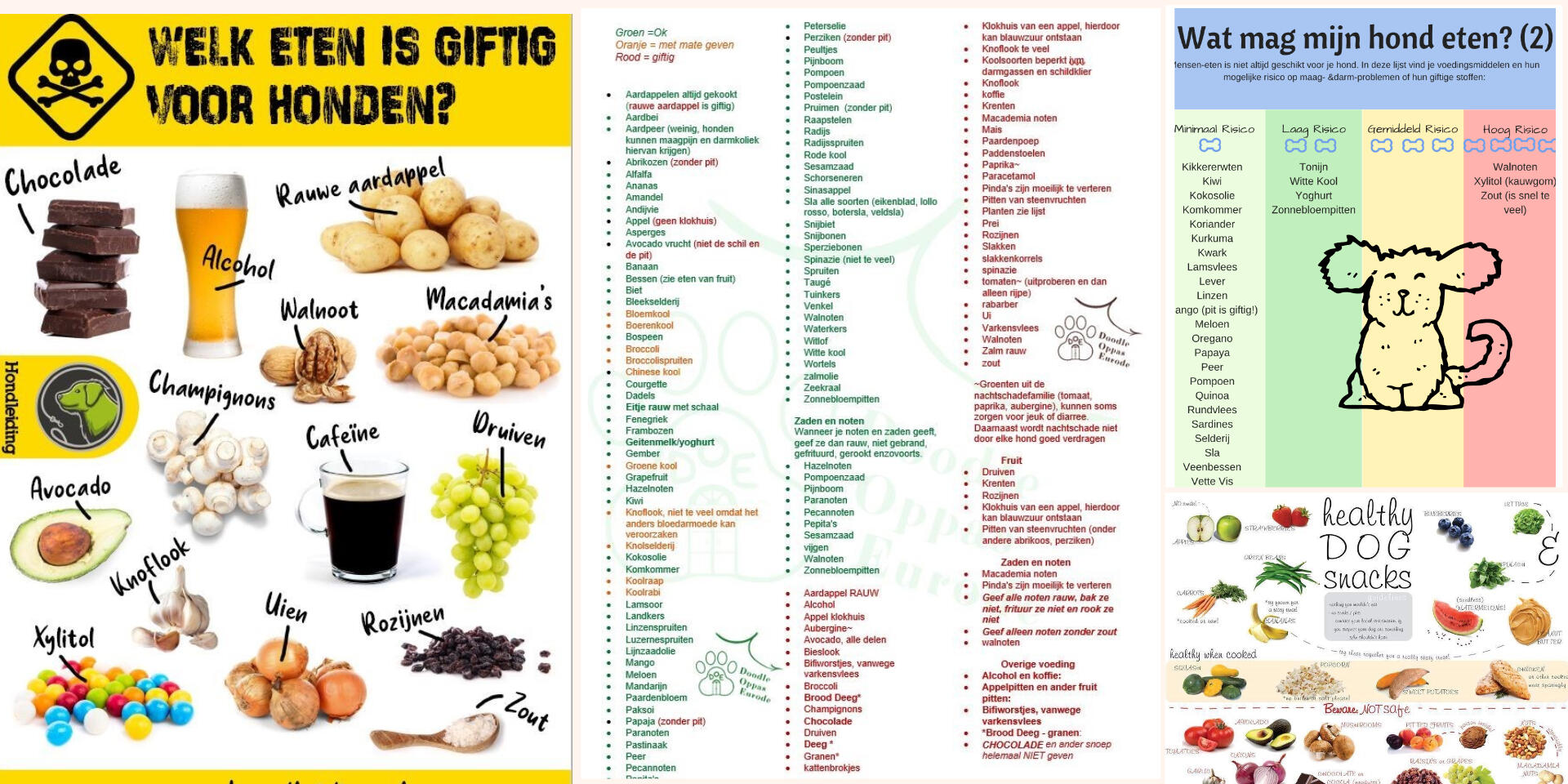 [Groen = 100% veilig]{green} [Oranje = oppassen niet te veel]{orange} [Rood = is giftig]{red}